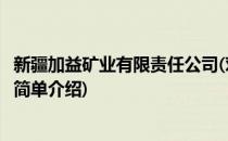 新疆加益矿业有限责任公司(对于新疆加益矿业有限责任公司简单介绍)