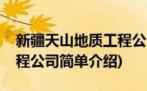新疆天山地质工程公司(对于新疆天山地质工程公司简单介绍)