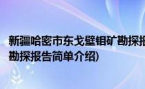 新疆哈密市东戈壁钼矿勘探报告(对于新疆哈密市东戈壁钼矿勘探报告简单介绍)