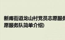 新甫街道龙山村党员志愿服务队(对于新甫街道龙山村党员志愿服务队简单介绍)