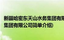 新疆哈密东天山水务集团有限公司(对于新疆哈密东天山水务集团有限公司简单介绍)