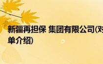 新疆再担保 集团有限公司(对于新疆再担保 集团有限公司简单介绍)