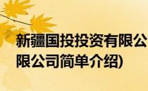新疆国投投资有限公司(对于新疆国投投资有限公司简单介绍)