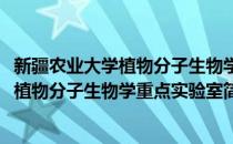 新疆农业大学植物分子生物学重点实验室(对于新疆农业大学植物分子生物学重点实验室简单介绍)