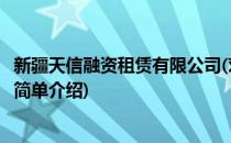 新疆天信融资租赁有限公司(对于新疆天信融资租赁有限公司简单介绍)