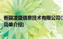 新疆凌盛信息技术有限公司(对于新疆凌盛信息技术有限公司简单介绍)