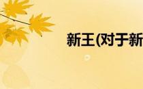 新王(对于新王简单介绍)