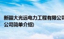 新疆大光远电力工程有限公司(对于新疆大光远电力工程有限公司简单介绍)