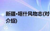 新疆·喀什风物志(对于新疆·喀什风物志简单介绍)
