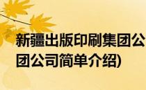 新疆出版印刷集团公司(对于新疆出版印刷集团公司简单介绍)