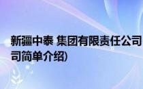 新疆中泰 集团有限责任公司(对于新疆中泰 集团有限责任公司简单介绍)
