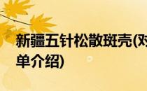 新疆五针松散斑壳(对于新疆五针松散斑壳简单介绍)