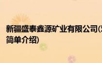 新疆盛泰鑫源矿业有限公司(对于新疆盛泰鑫源矿业有限公司简单介绍)