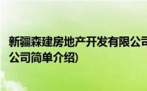 新疆森建房地产开发有限公司(对于新疆森建房地产开发有限公司简单介绍)