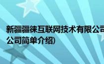 新疆疆徕互联网技术有限公司(对于新疆疆徕互联网技术有限公司简单介绍)