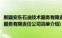 新疆安东石油技术服务有限责任公司(对于新疆安东石油技术服务有限责任公司简单介绍)