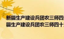 新疆生产建设兵团农三师四十五团志(1966-1996)(对于新疆生产建设兵团农三师四十五团志(1966-1996)简单介绍)