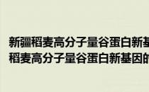 新疆稻麦高分子量谷蛋白新基因的克隆与序列分析(对于新疆稻麦高分子量谷蛋白新基因的克隆与序列分析简单介绍)