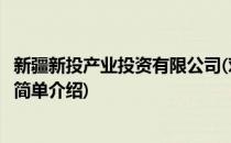 新疆新投产业投资有限公司(对于新疆新投产业投资有限公司简单介绍)