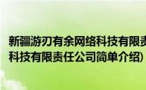 新疆游刃有余网络科技有限责任公司(对于新疆游刃有余网络科技有限责任公司简单介绍)