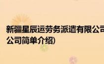 新疆星辰运劳务派遣有限公司(对于新疆星辰运劳务派遣有限公司简单介绍)