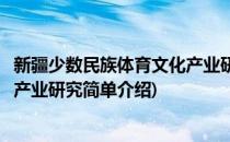 新疆少数民族体育文化产业研究(对于新疆少数民族体育文化产业研究简单介绍)