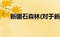 新疆石森林(对于新疆石森林简单介绍)