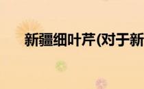 新疆细叶芹(对于新疆细叶芹简单介绍)
