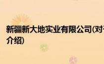 新疆新大地实业有限公司(对于新疆新大地实业有限公司简单介绍)