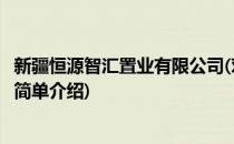 新疆恒源智汇置业有限公司(对于新疆恒源智汇置业有限公司简单介绍)