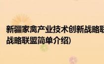 新疆家禽产业技术创新战略联盟(对于新疆家禽产业技术创新战略联盟简单介绍)