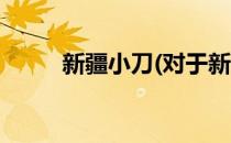 新疆小刀(对于新疆小刀简单介绍)