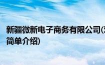 新疆微新电子商务有限公司(对于新疆微新电子商务有限公司简单介绍)