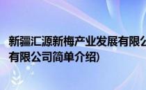 新疆汇源新梅产业发展有限公司(对于新疆汇源新梅产业发展有限公司简单介绍)