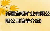 新疆宝明矿业有限公司(对于新疆宝明矿业有限公司简单介绍)