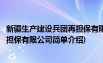 新疆生产建设兵团再担保有限公司(对于新疆生产建设兵团再担保有限公司简单介绍)