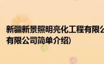新疆新景照明亮化工程有限公司(对于新疆新景照明亮化工程有限公司简单介绍)