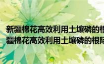 新疆棉花高效利用土壤磷的根际和菌丝际过程与调控(对于新疆棉花高效利用土壤磷的根际和菌丝际过程与调控简单介绍)