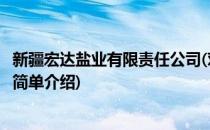 新疆宏达盐业有限责任公司(对于新疆宏达盐业有限责任公司简单介绍)