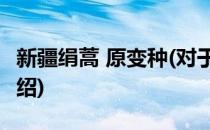 新疆绢蒿 原变种(对于新疆绢蒿 原变种简单介绍)