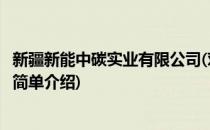 新疆新能中碳实业有限公司(对于新疆新能中碳实业有限公司简单介绍)