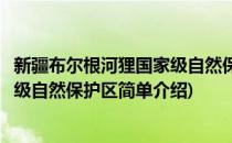 新疆布尔根河狸国家级自然保护区(对于新疆布尔根河狸国家级自然保护区简单介绍)