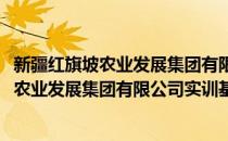 新疆红旗坡农业发展集团有限公司实训基地(对于新疆红旗坡农业发展集团有限公司实训基地简单介绍)