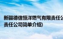 新疆德信恒洋燃气有限责任公司(对于新疆德信恒洋燃气有限责任公司简单介绍)