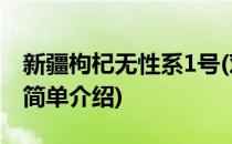 新疆枸杞无性系1号(对于新疆枸杞无性系1号简单介绍)