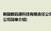 新疆数码通科技有限责任公司(对于新疆数码通科技有限责任公司简单介绍)