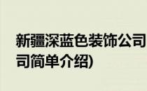 新疆深蓝色装饰公司(对于新疆深蓝色装饰公司简单介绍)