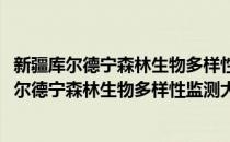 新疆库尔德宁森林生物多样性监测大样地观测站(对于新疆库尔德宁森林生物多样性监测大样地观测站简单介绍)