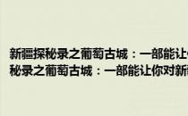 新疆探秘录之葡萄古城：一部能让你对新疆无所不知的小说(对于新疆探秘录之葡萄古城：一部能让你对新疆无所不知的小说简单介绍)