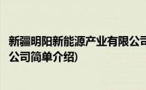 新疆明阳新能源产业有限公司(对于新疆明阳新能源产业有限公司简单介绍)
